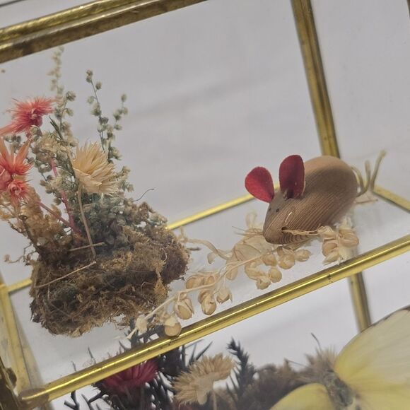 Vintage Taxidermy Butterfly Dried Flowers Terrarium Diorama Glass Display Case - Picture 4 of 8